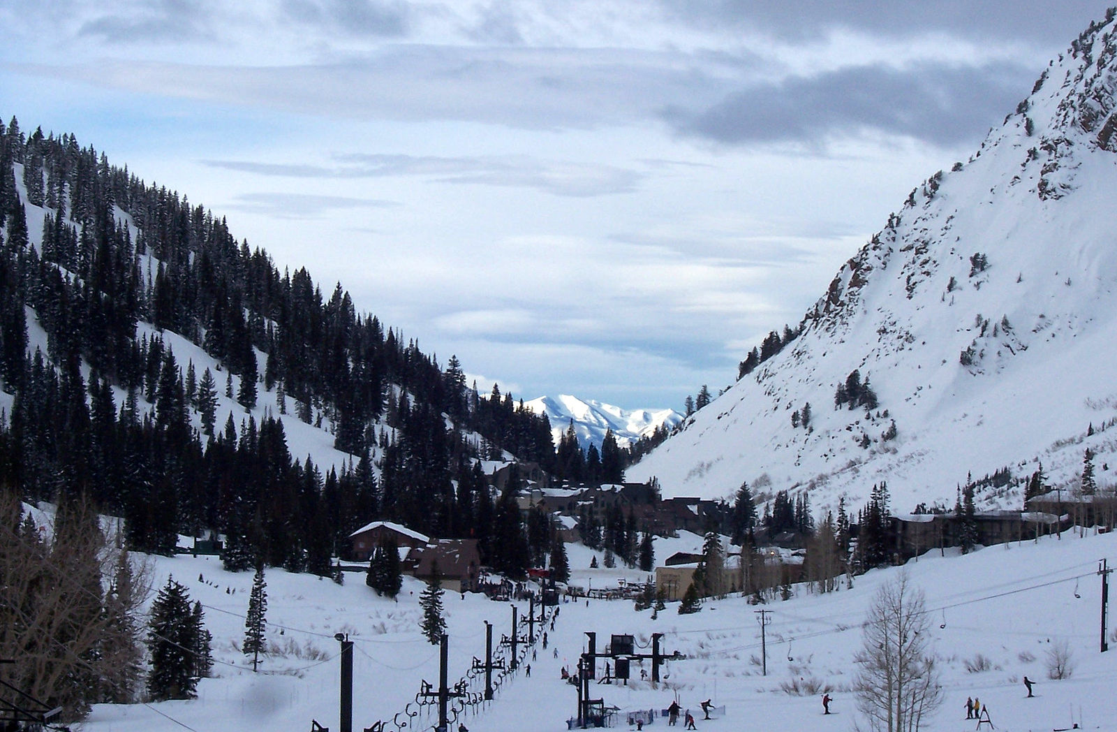 alta
