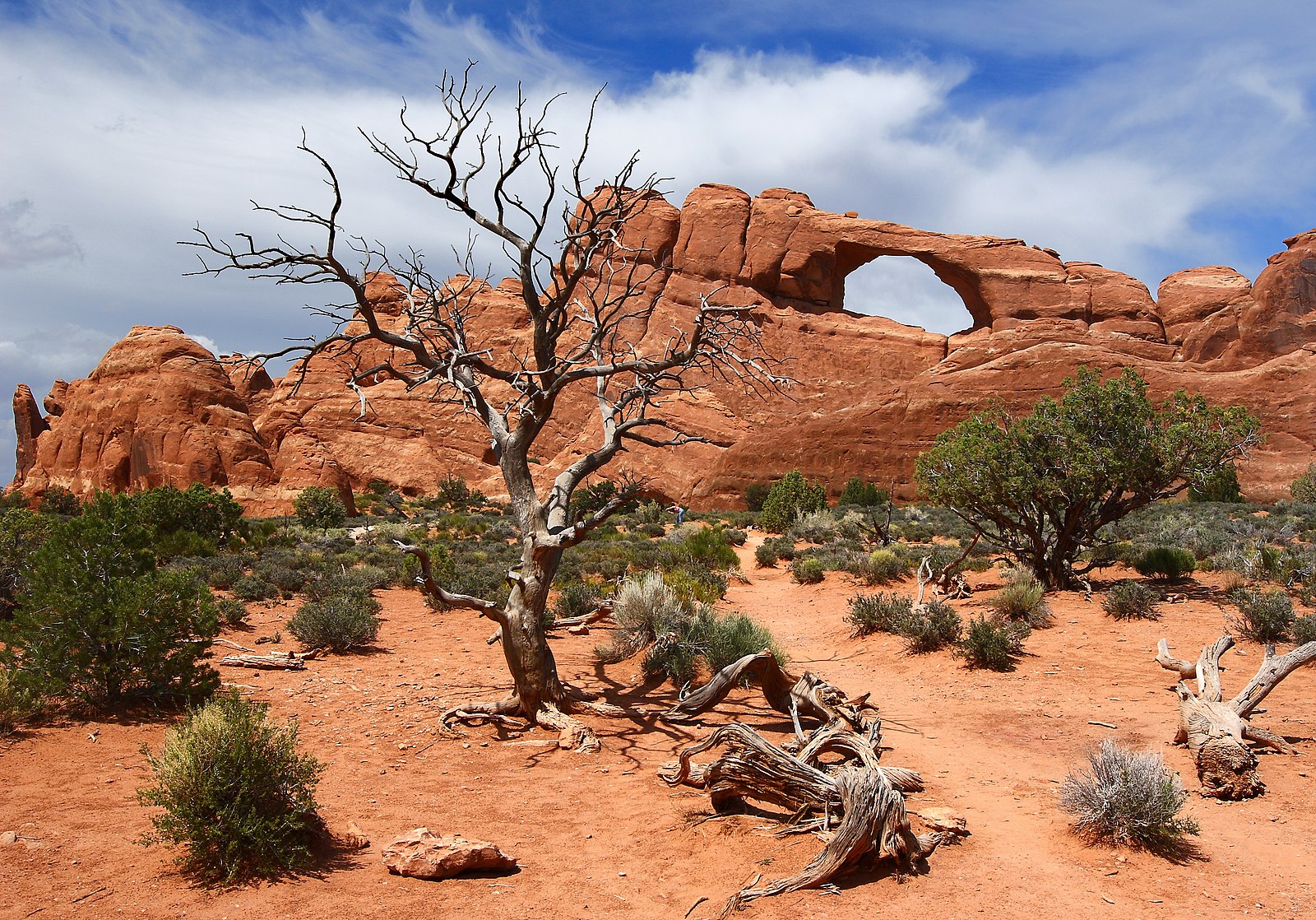 Arches